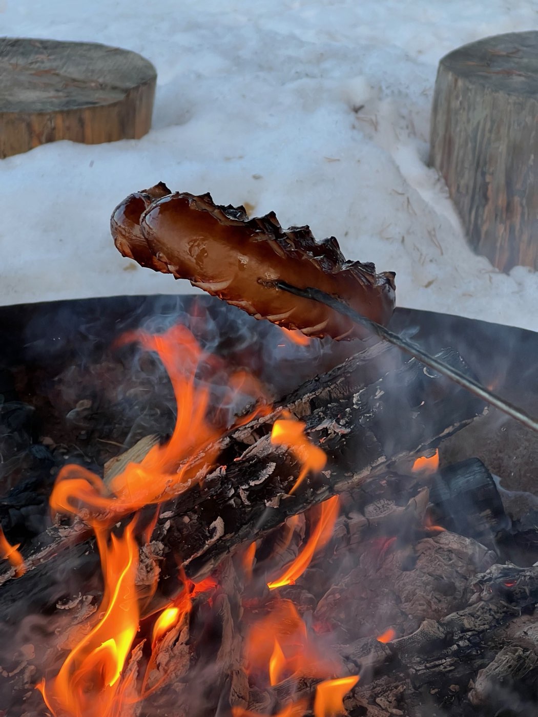 Sausage grilling over an open fire, log stumps in the snow behind